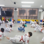 충효태권도