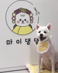 마이댕댕