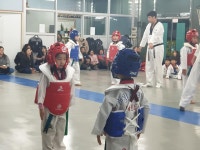 무림태권도장