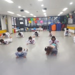 충효태권도