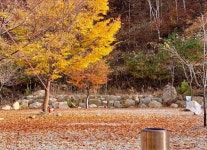 달과별캠핑장
