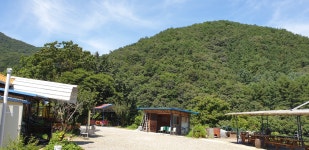산정