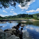 부귀산장펜션 숲속캠핑장