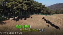 송조농원