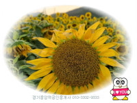 경기중앙역공인중개사사무소