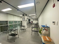 프로펫애견미용학원