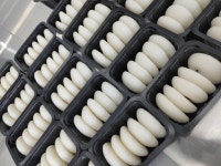 궁잔기지떡 강릉점