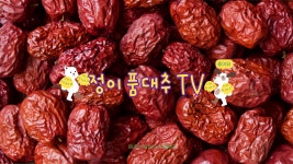 보은정이품대추농장