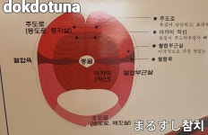 독도마루참치
