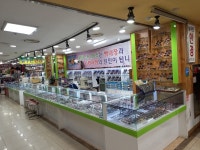 늘푸른안경