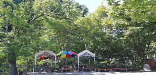 은행나무식당