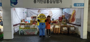 풍기횡재인삼