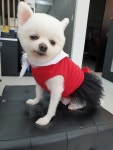 남자컷트클럽