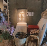 달빛상점