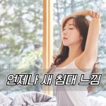 침대청소박사 고객센터