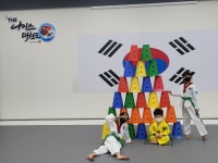 THE나이스태권도 명지국제신도시