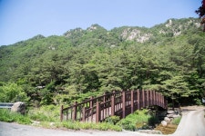 펜션창공
