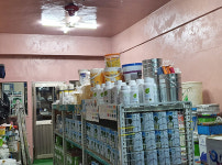 노루페인트 협진도료