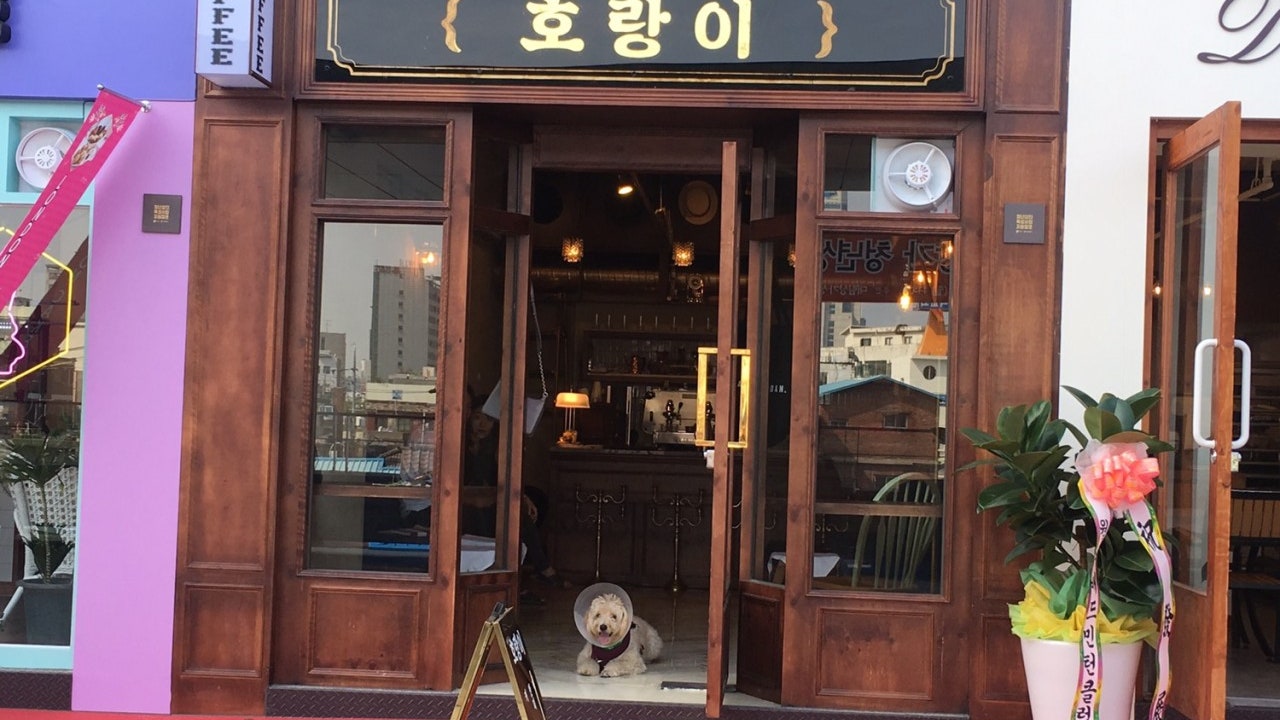 호랑이