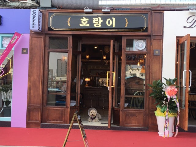 호랑이