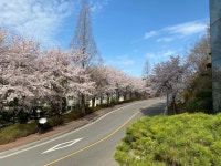 JL골프아카데미