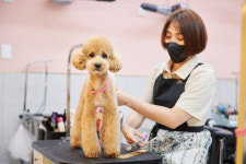 개러리아 삼성본점