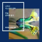 피엠디코리아