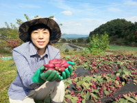 자꾸커 천년초농장