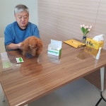 도그파파