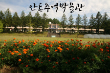 안동추억박물관