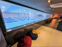 노블스위밍랩 영종하늘도시점