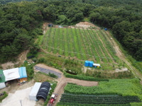 하은사과농원
