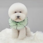 몽트라슈