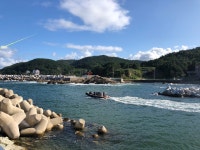 정펜션