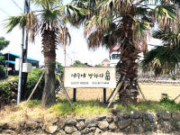 제주에 반하다