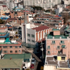 정원교회
