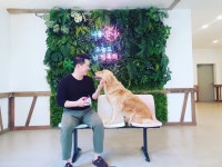 안성 내츄럴리조트 애견캠핑장