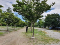 안성 내츄럴리조트 애견캠핑장