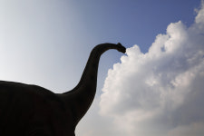 고산골 공룡공원