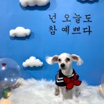 읻다그루밍