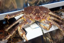 해림대게 기장점