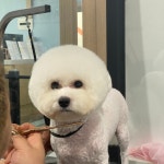 읻다그루밍