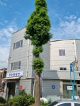 소명테크