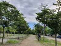 안성 내츄럴리조트 애견캠핑장