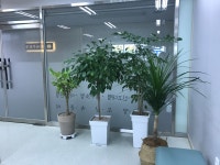 인성세무회계사무소