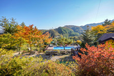 로카와델피노펜션