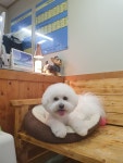까까멍