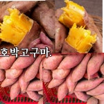 원광농장