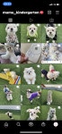 무무유치원