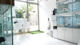 댕꼬미 강아지분양 애견목욕 남양주진접오남점